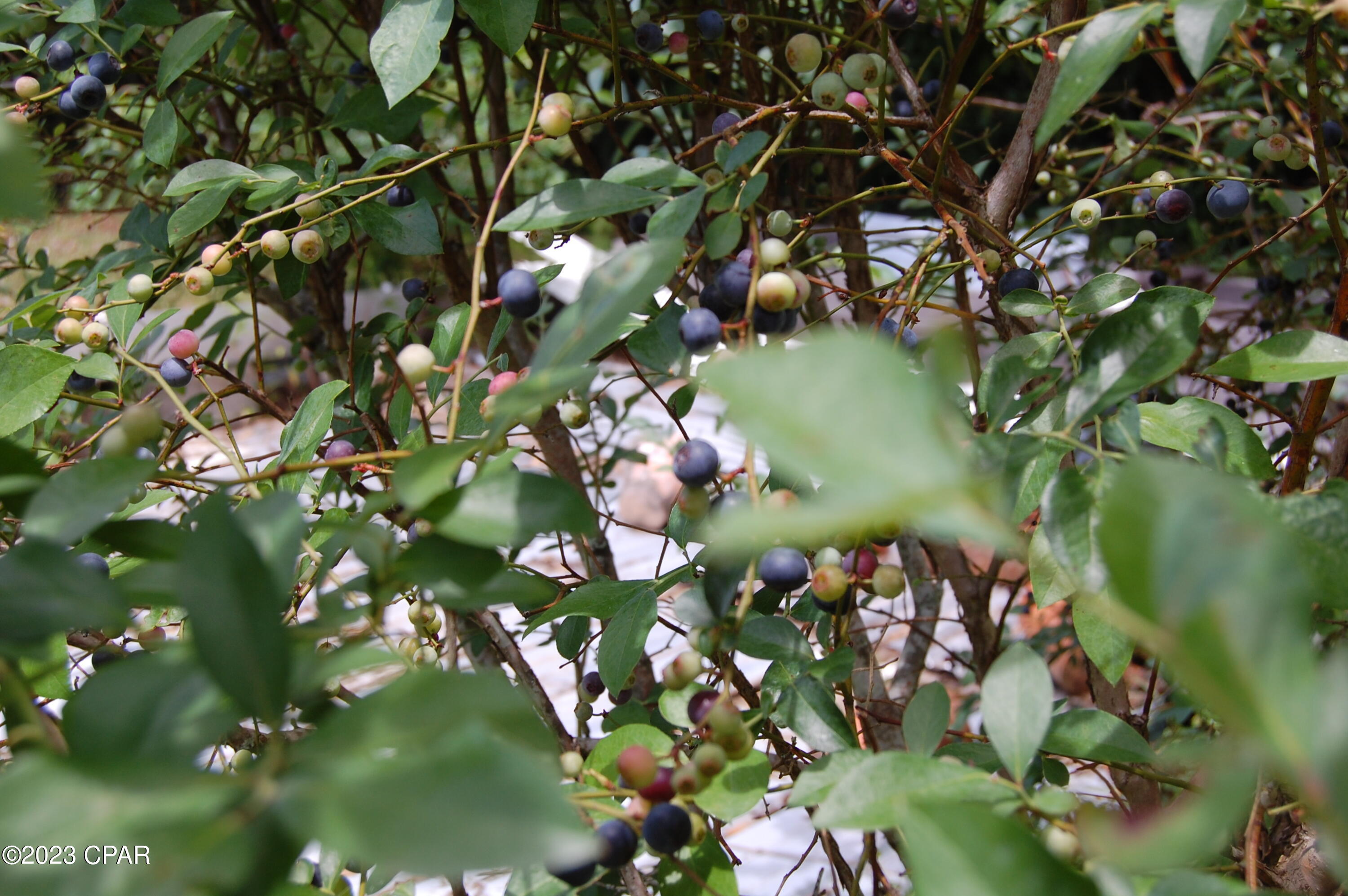 Compass Lake Hills Unit 2 - Residential