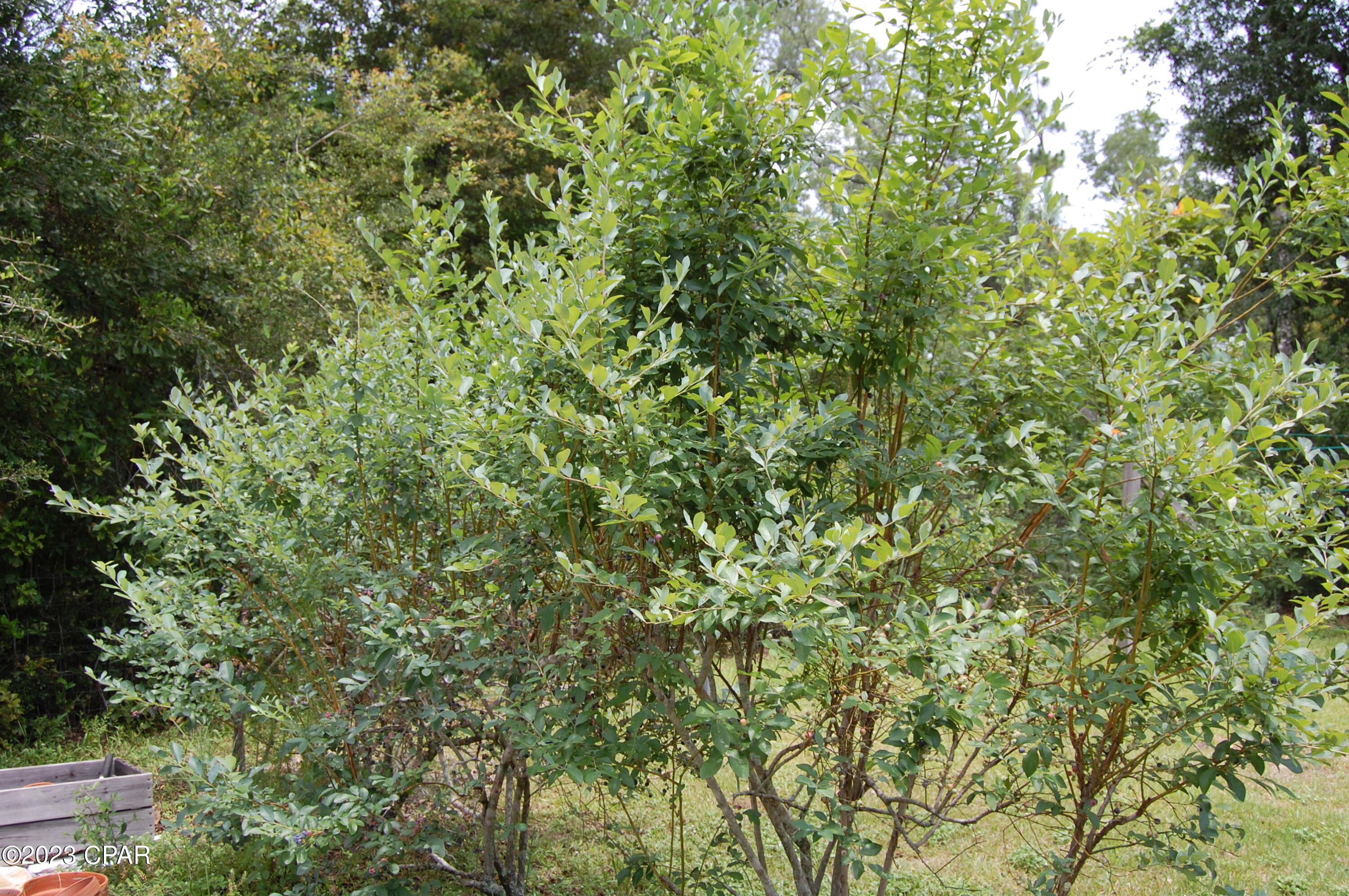 Compass Lake Hills Unit 2 - Residential