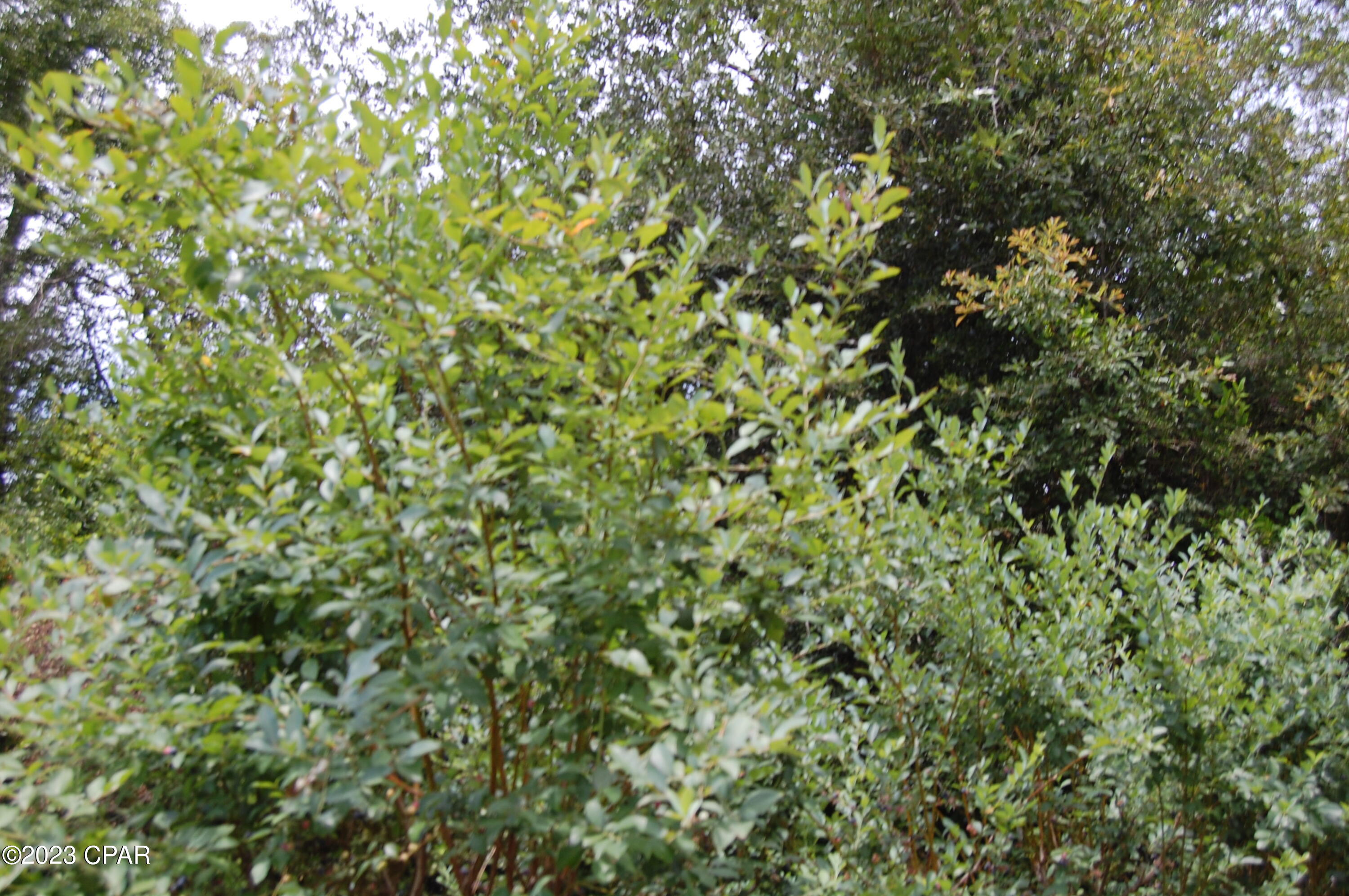 Compass Lake Hills Unit 2 - Residential