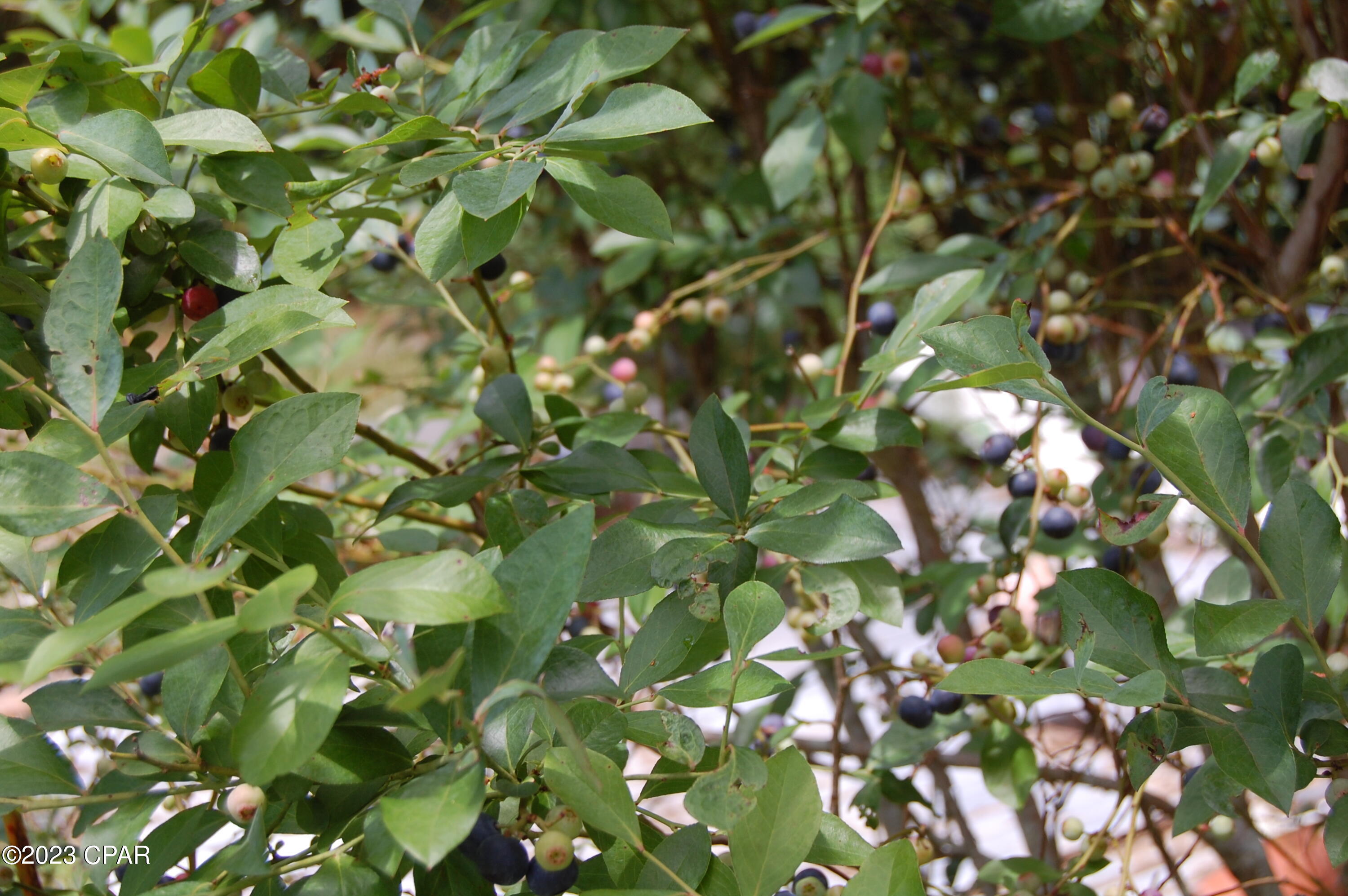 Compass Lake Hills Unit 2 - Residential