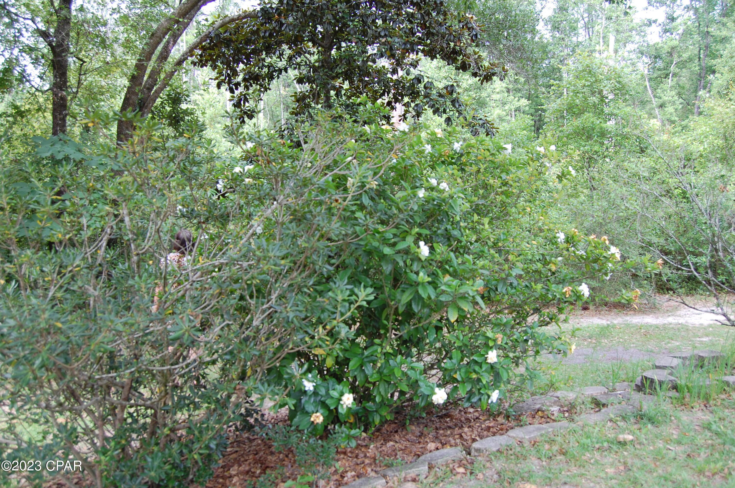 Compass Lake Hills Unit 2 - Residential