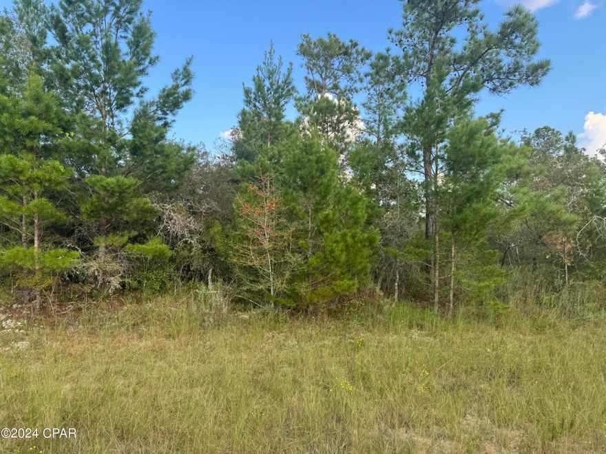 Great building lot in South Washington County, 45 minutes to the world's most Beautiful Beaches. Several great lakes and ponds to fish ,swim and go boating. Several new homes have been built and more going up every day. Come check it  out  and see if its a place you want to call home.