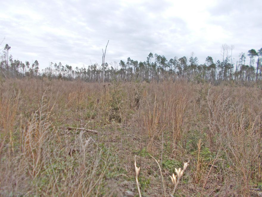 Vacant land for  mobile homes or building, county water is available, nice cleared level lot with a current survey.