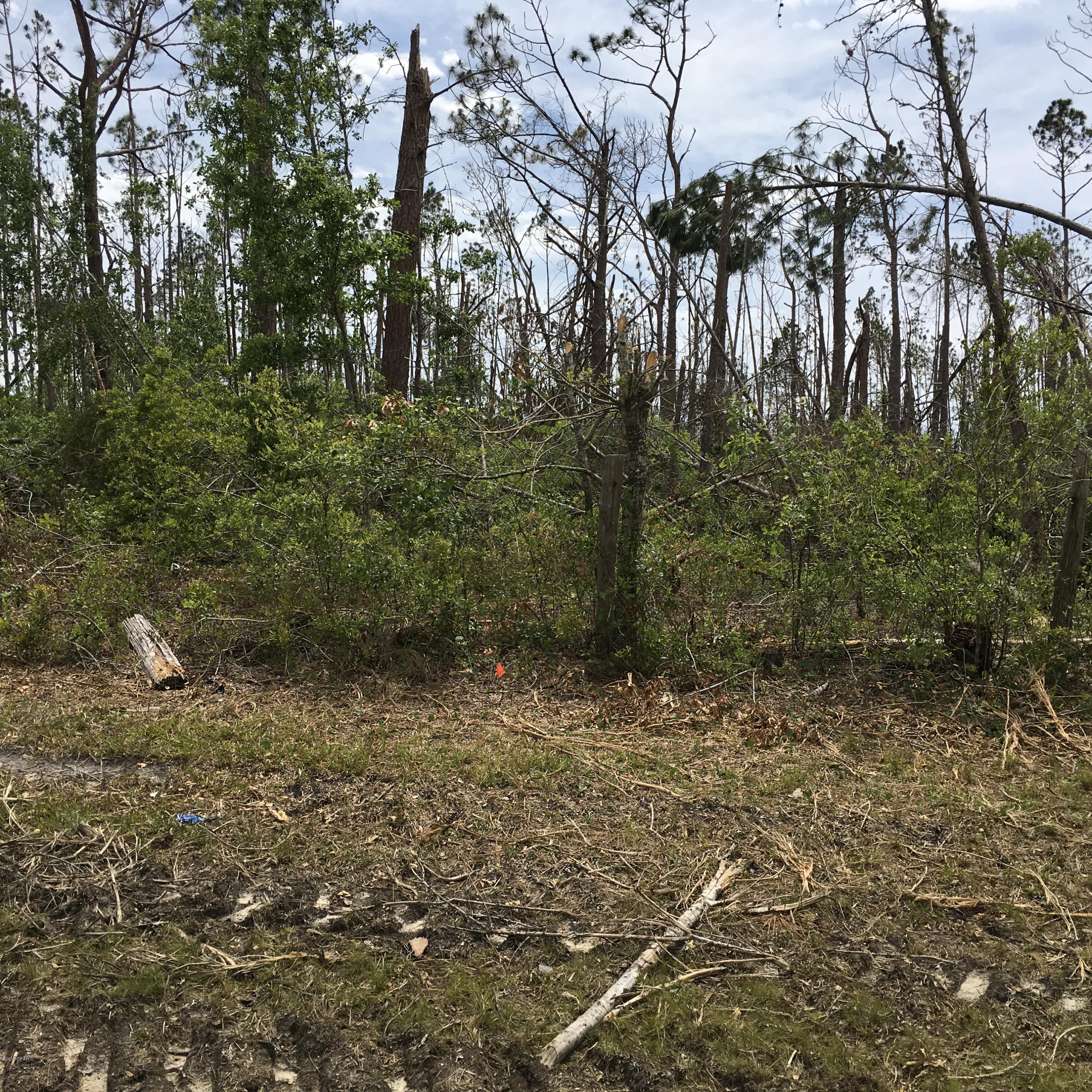 Mirror Lake Estates - Land