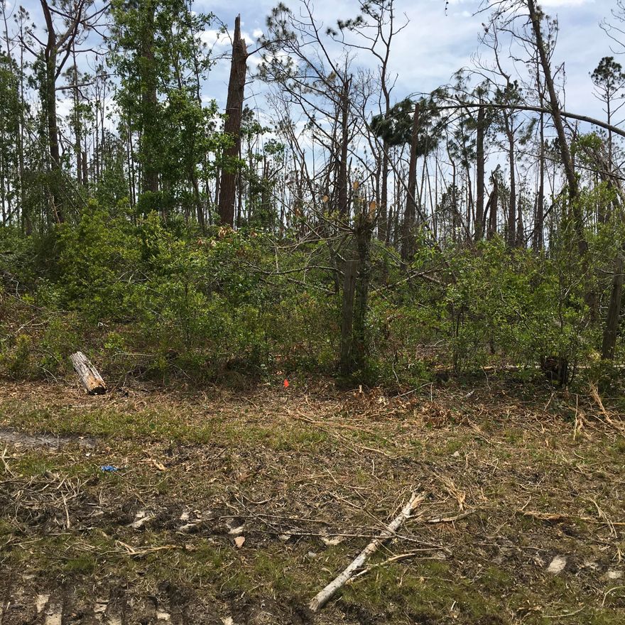 (Price Adjustment reduced by $50,100.00)



There is so much potential with this  86.67 acres of property it has wildlife and the great  outdoors, near many lakes perfect for hunting, and fishing will also make  a perfect home site with privacy or a great area for development or hunting camps, you can enjoy nature at it best.



Bring your offers to the table as the owner is very motivated to sell, his loss can be your gain.