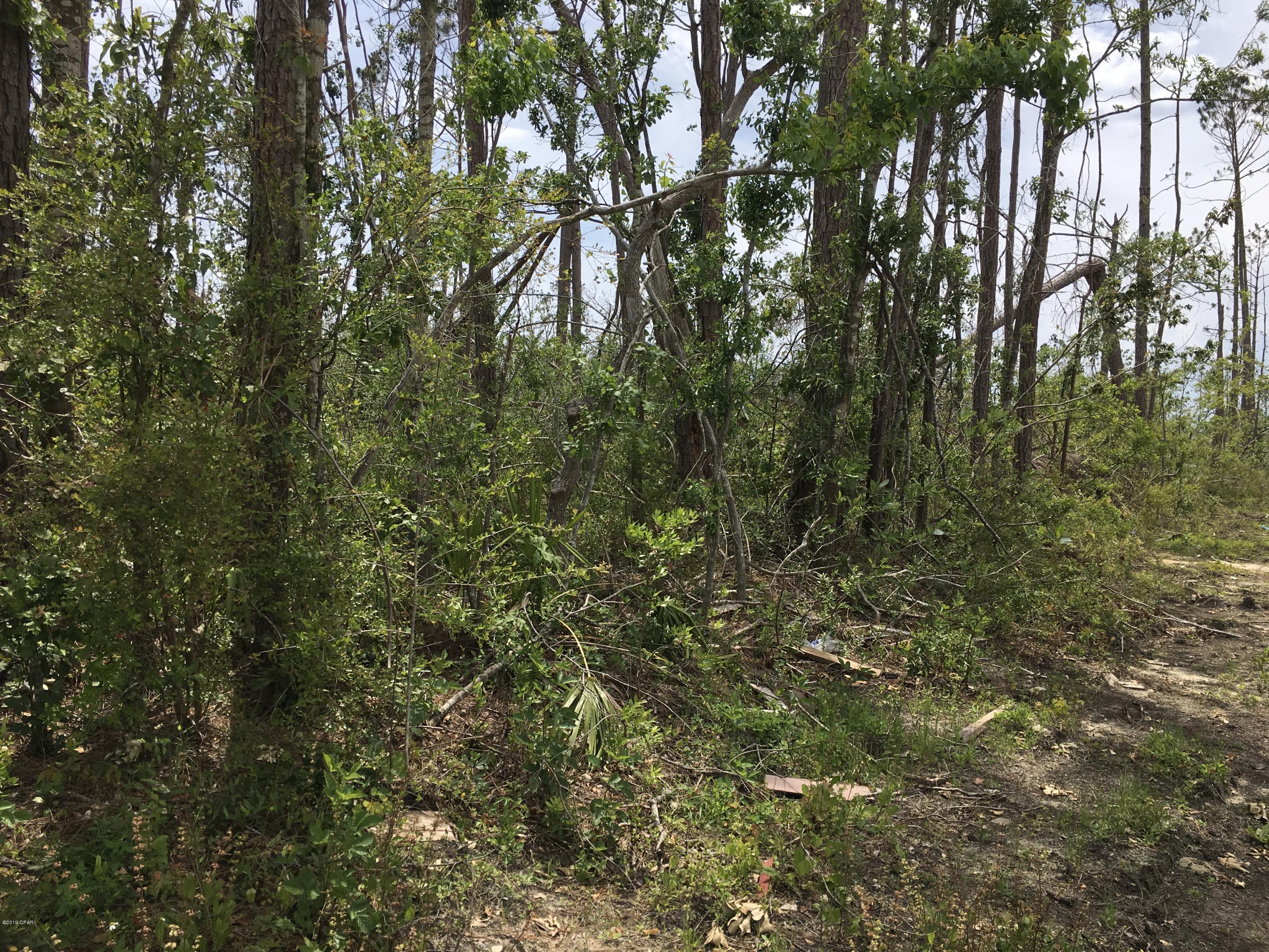 Mirror Lake Estates - Land