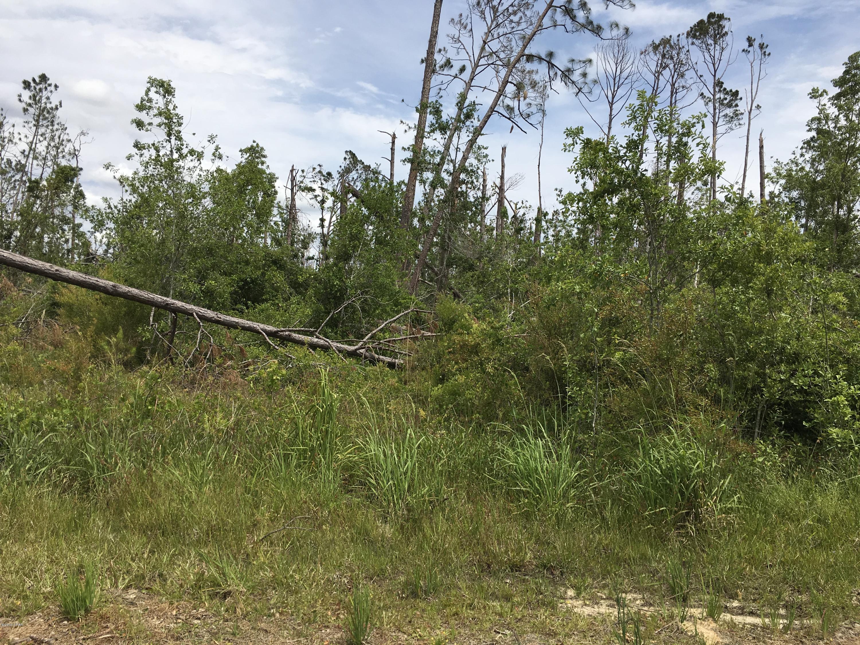 Mirror Lake Estates - Land