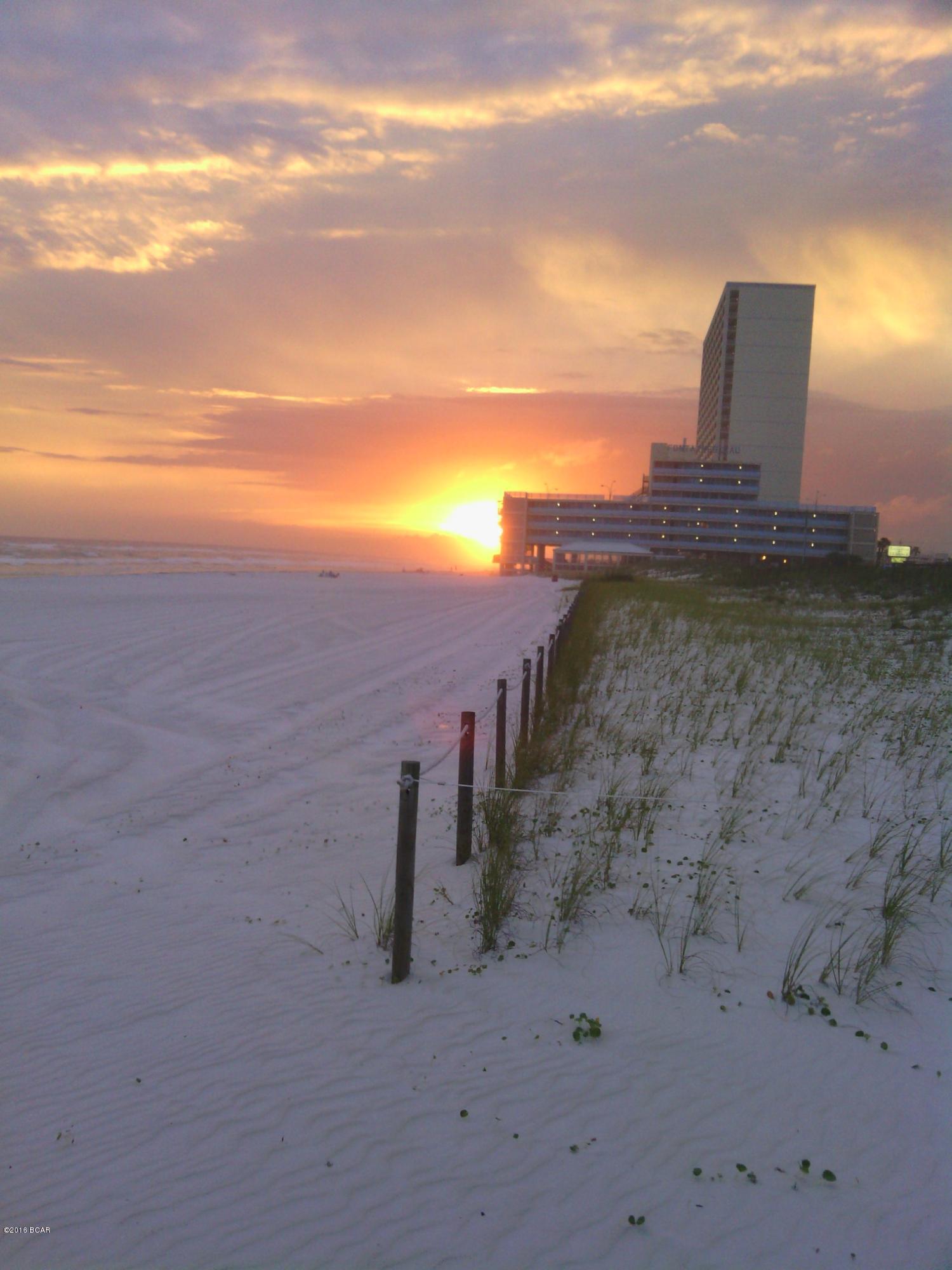 Seaclusion Beach - Land