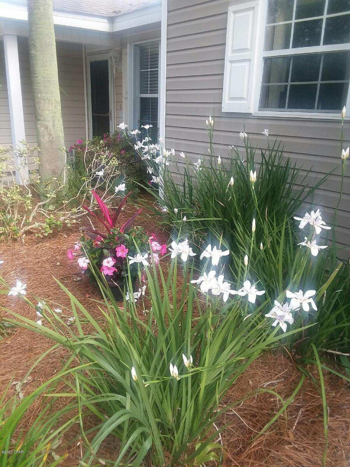 Palmetto Trace - Residential