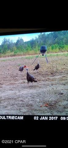 [No Recorded Subdiv] - Land