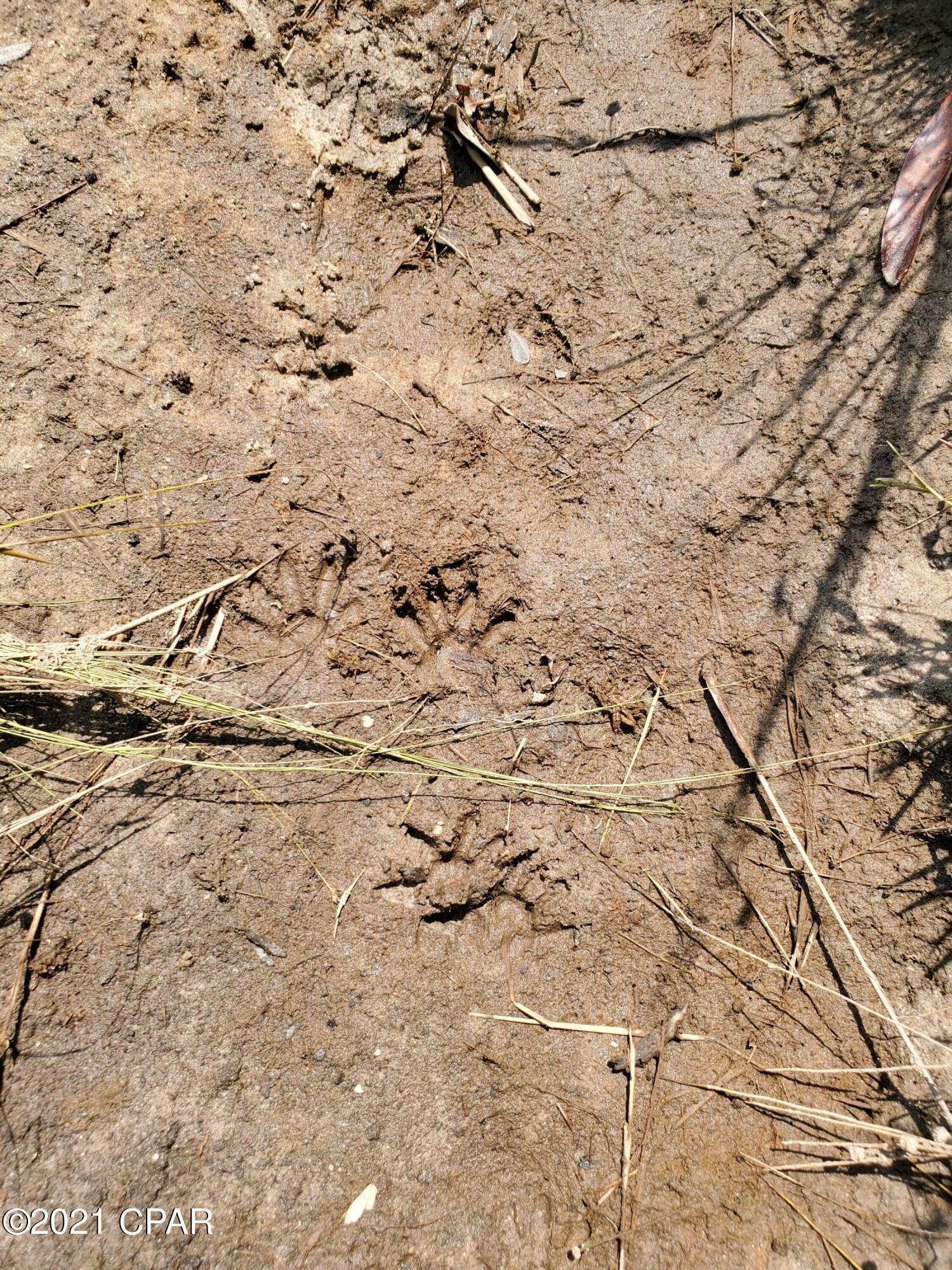 [No Recorded Subdiv] - Land