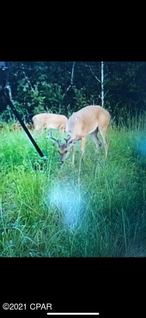 [No Recorded Subdiv] - Land