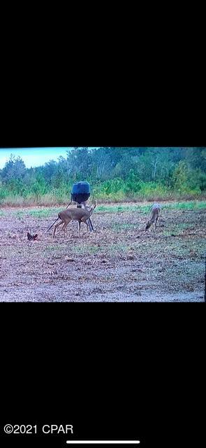 [No Recorded Subdiv] - Land