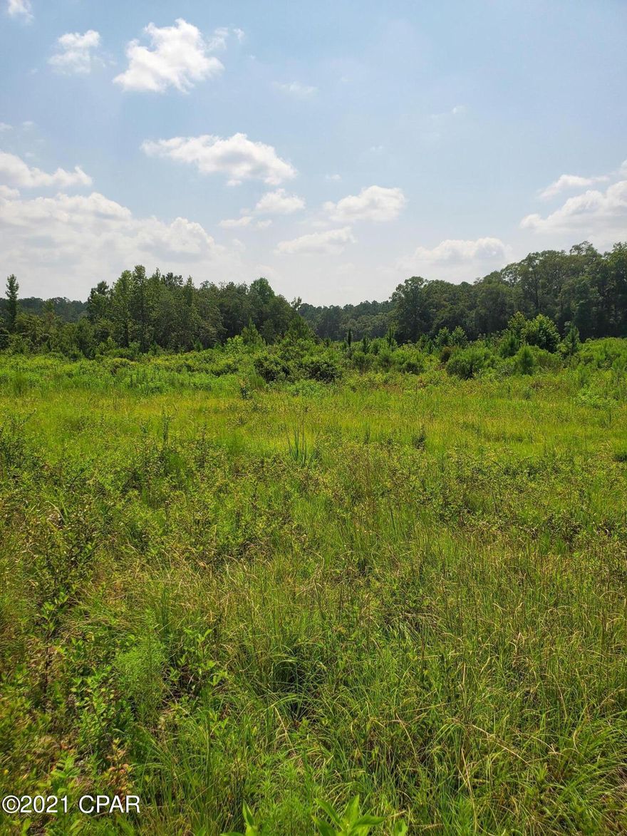 Looking for a hunters paradise? Well you've found it in this 35 acre parcel 1/2 mile down Sylvania Rd. just outside Vernon, FL city limits.  Close to schools and ball fields. Some photos are of a millet crop previously farmed off the land and other photos are of ryegrass crop taken 2-24-17. Many great future homes sites along with great areas to put a pond or two one day. There is 25 acres of the land that used to be farmed in hay. Current owner used it for hunting but as the pictures show it can be used for farming as well. Many options to go with on this property.  The woods running through the middle give you two distinct fields. The rest is mixed woods and natural. There are 2 acres of planted pines in the SW corner.  The woods running through the middle give you two distinct fields. There is 1 acre that has been planted in slash pine. Overall the land is very beautiful. Lots of wildlife and hunting possibilities. It feels very rural but yet is close to town. The power lines are at the edge of the property.