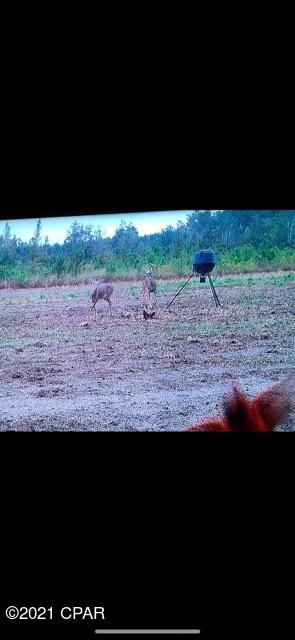 [No Recorded Subdiv] - Land