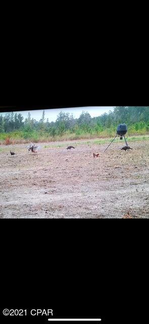 [No Recorded Subdiv] - Land