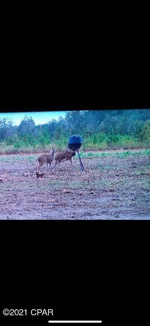 [No Recorded Subdiv] - Land