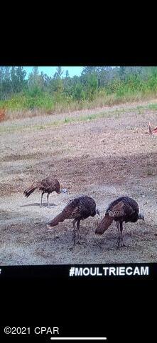 [No Recorded Subdiv] - Land