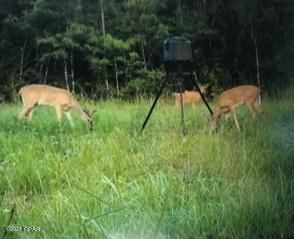 [No Recorded Subdiv] - Land