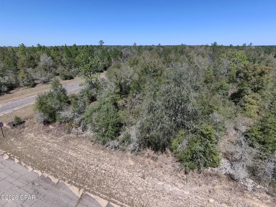 Attention all INVESTORS and DEVELOPERS...Excellent opportunity to own a .298-acre flat and level building lot in Unit 11 of Sunny Hills, located at Lot 38 on Hunter Cir (AKA Hunter Creek on mapping). Nice corner lot at 1/3 of an acre. Priced right for a quick sale! Additionally, Lot 38 next door is also available from the same seller at the same price, providing a rare opportunity to secure side by side lots for added space, flexibility, or future development options. Sunny Hills continues to attract buyers due to its convenient access to Highway 77, with Chipley to the north and Panama City and the Gulf Coast beaches to the south. If you're looking for a competitively priced investment in a booming Northwest Florida community, this lot deserves your attention.