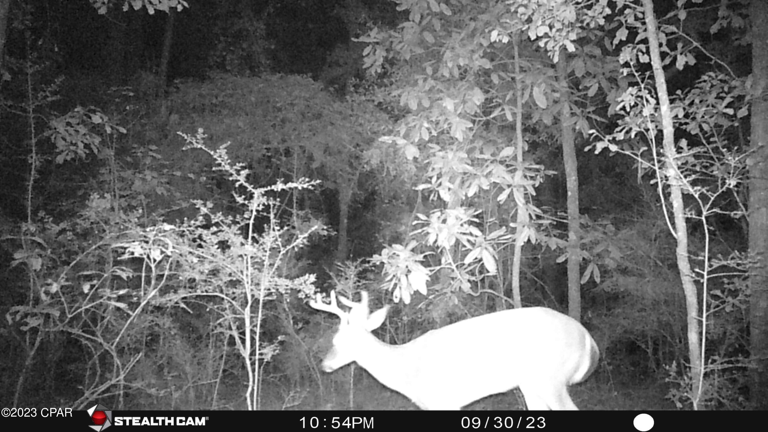 [No Recorded Subdiv] - Land