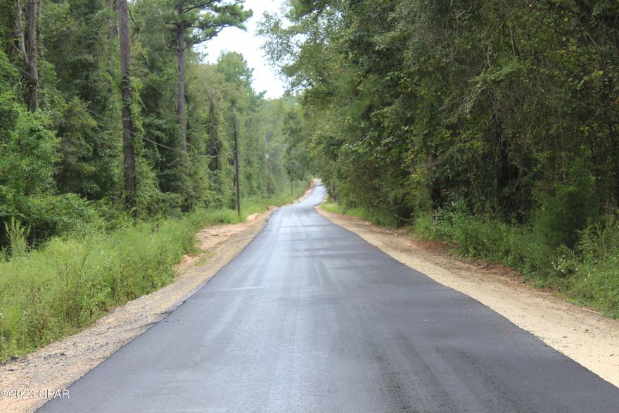 This 15 acre property in Vernon, Florida offers a blank canvas. This property features mature pine trees, mixed hardwood Oaks and abundant wildlife. Whether you envision building a custom home, owning a recreational retreat, or both, this property presents an unparalleled opportunity. Despite its secluded feel, this property is conveniently located only a 40 minute drive to the Worlds Most Beautiful Beaches. With paved road frontage, & power available! Enjoy the serene country setting, gentle rolling terrain, Come enjoy the peace of the country, & the privacy you deserve.  Property has +/- 800 feet of road frontage along Sylvania Rd with easy paved access from HWY 279 and HWY 278. Don't miss out on this opportunity to own your slice of paradise!