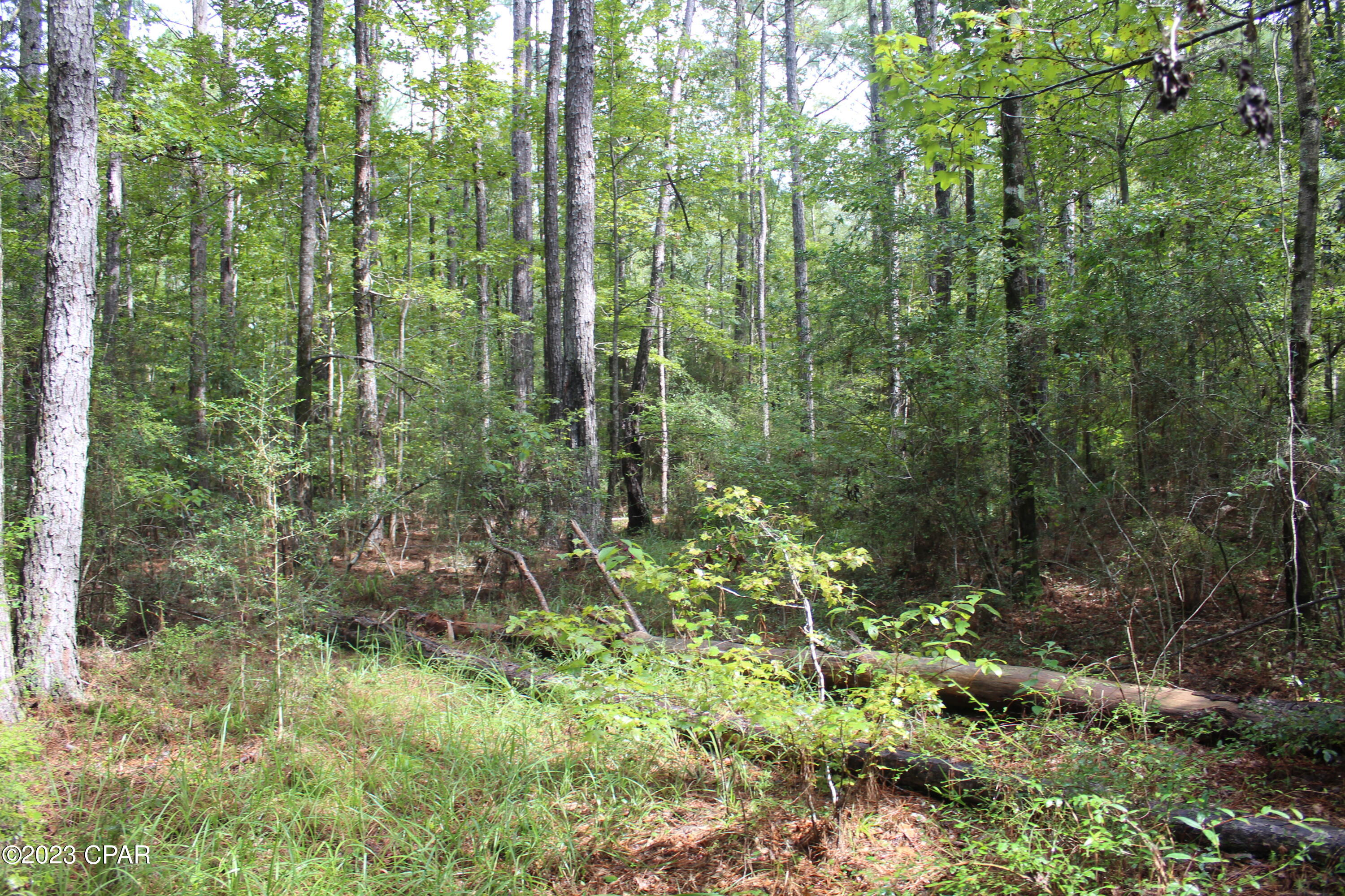 [No Recorded Subdiv] - Land