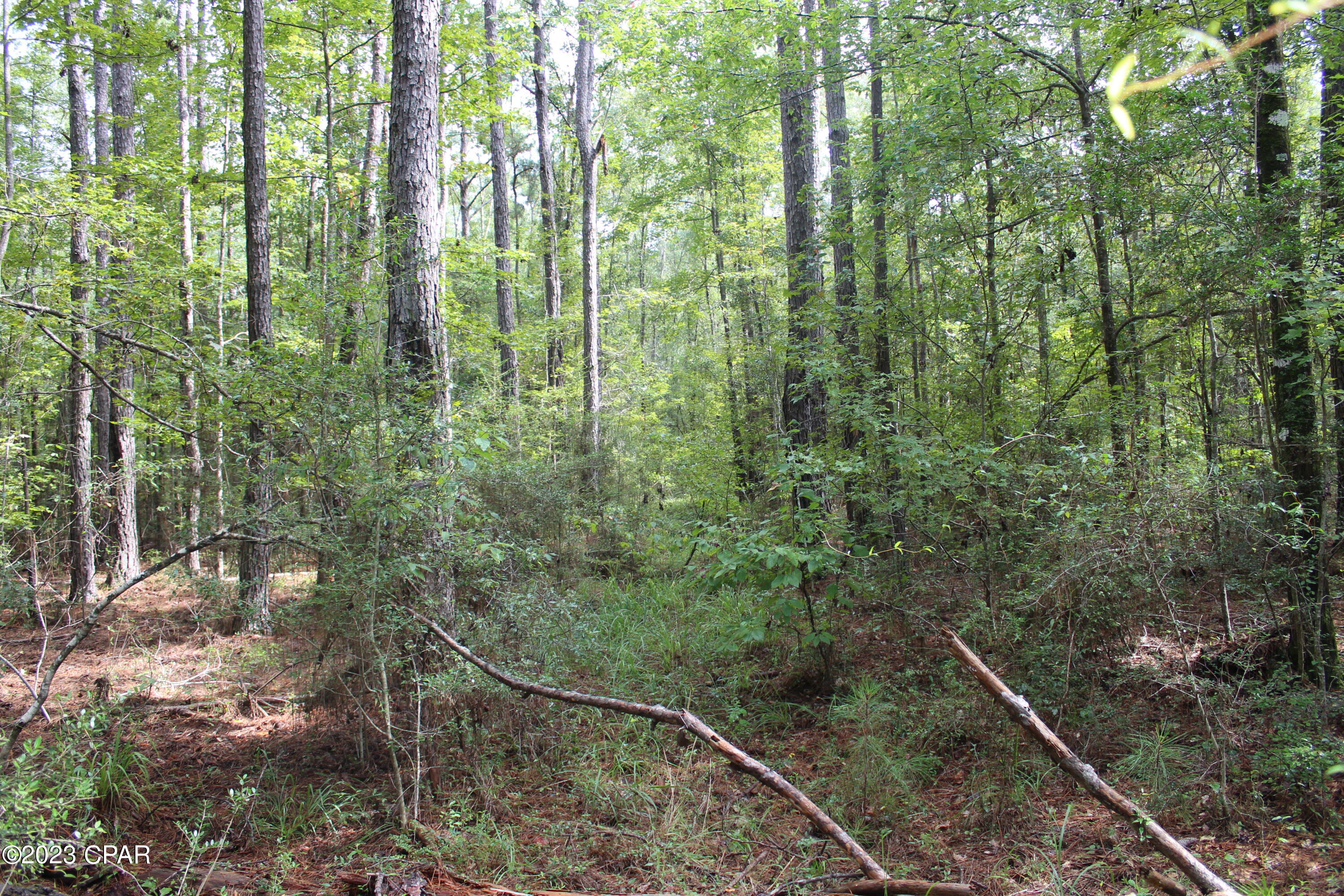 [No Recorded Subdiv] - Land