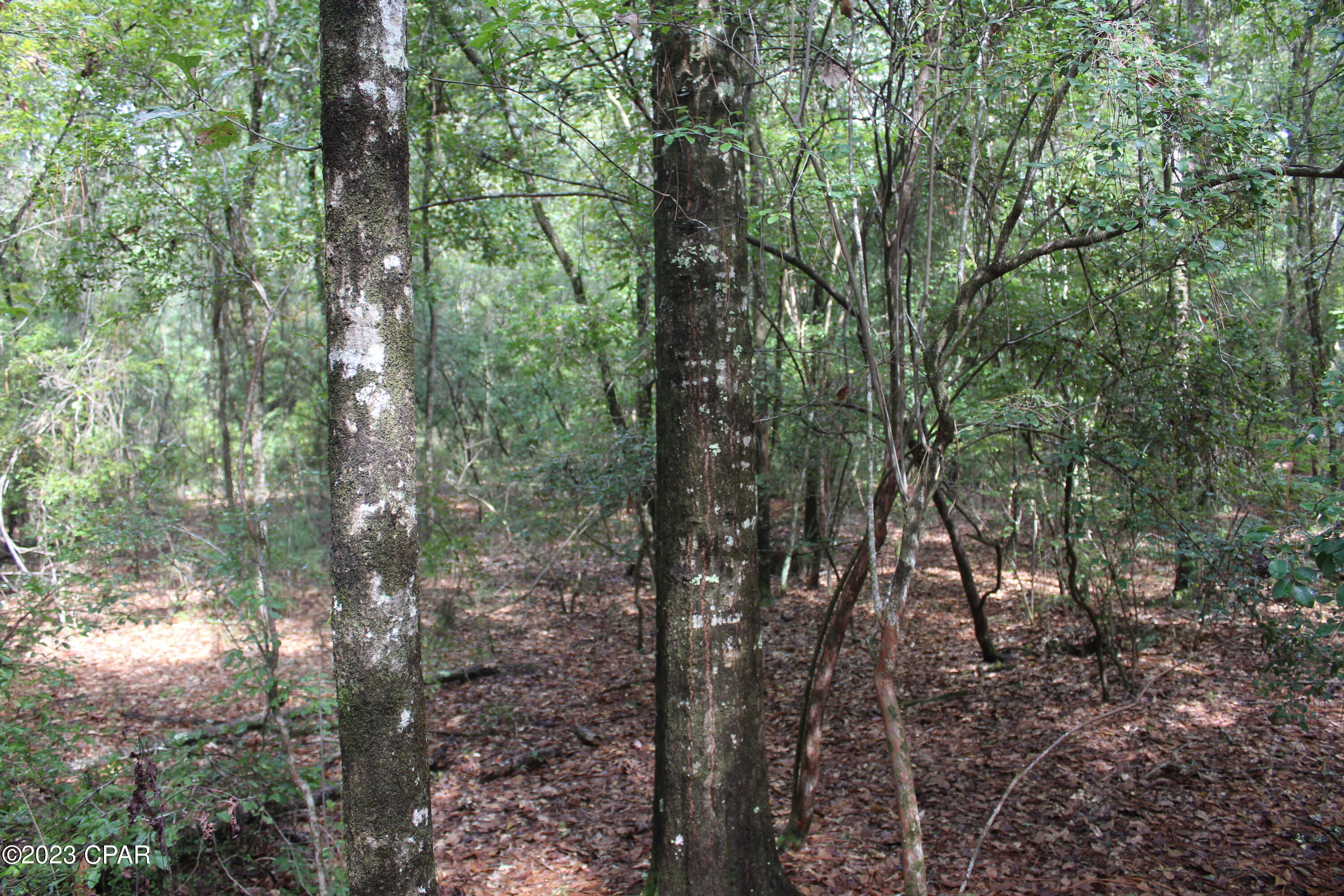 [No Recorded Subdiv] - Land