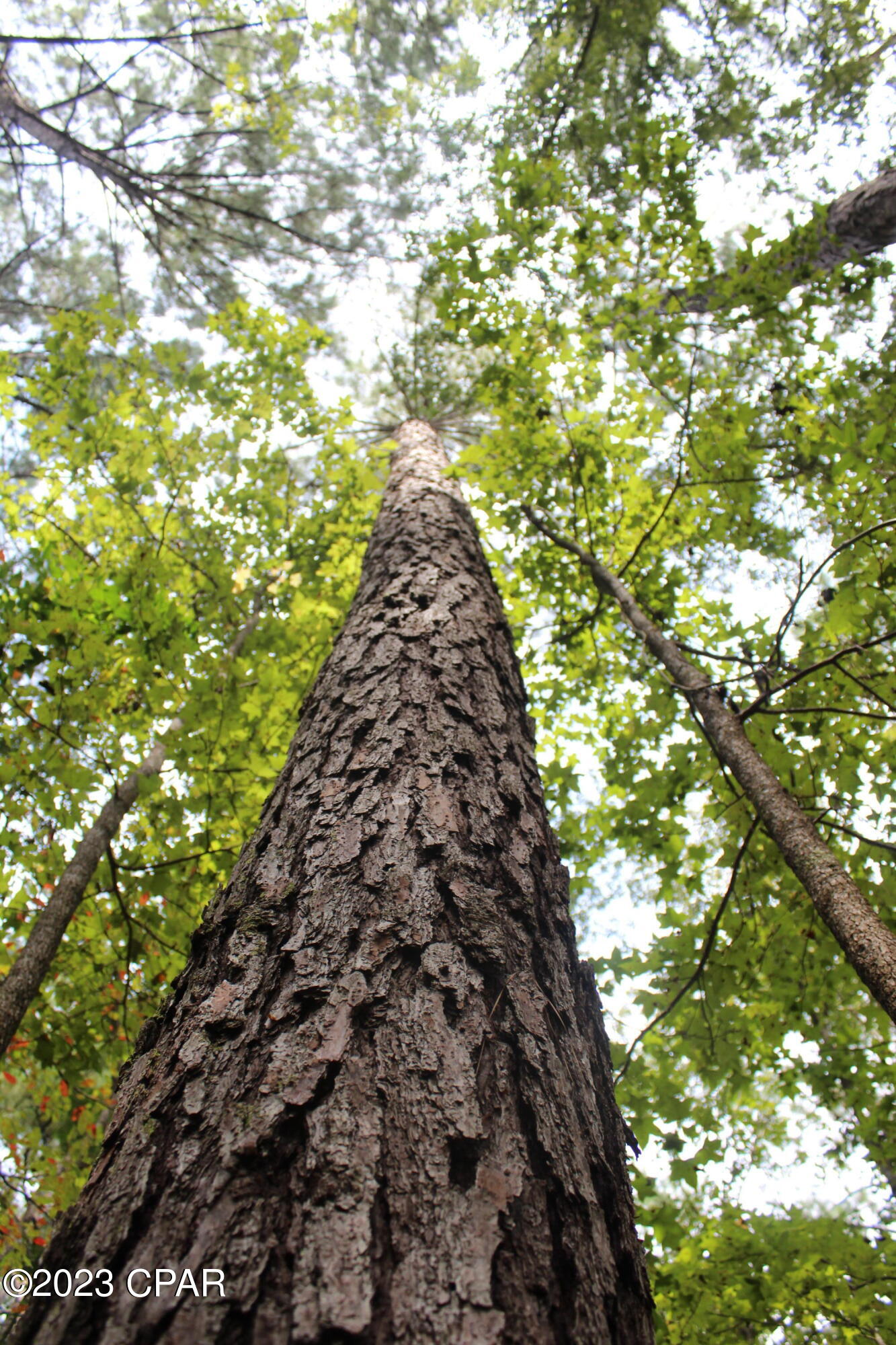 [No Recorded Subdiv] - Land