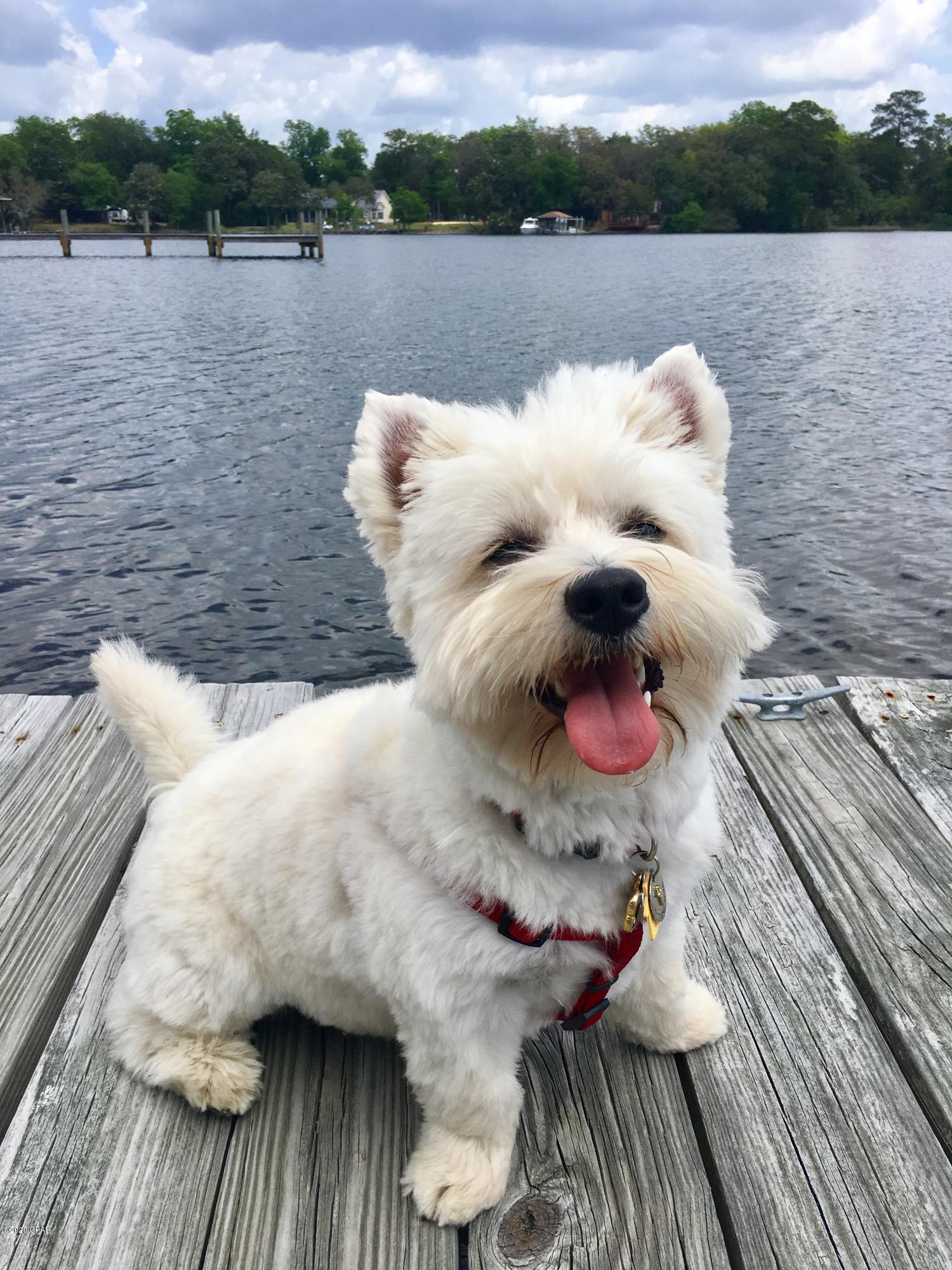 Northport Professional Center - Commercial Sale