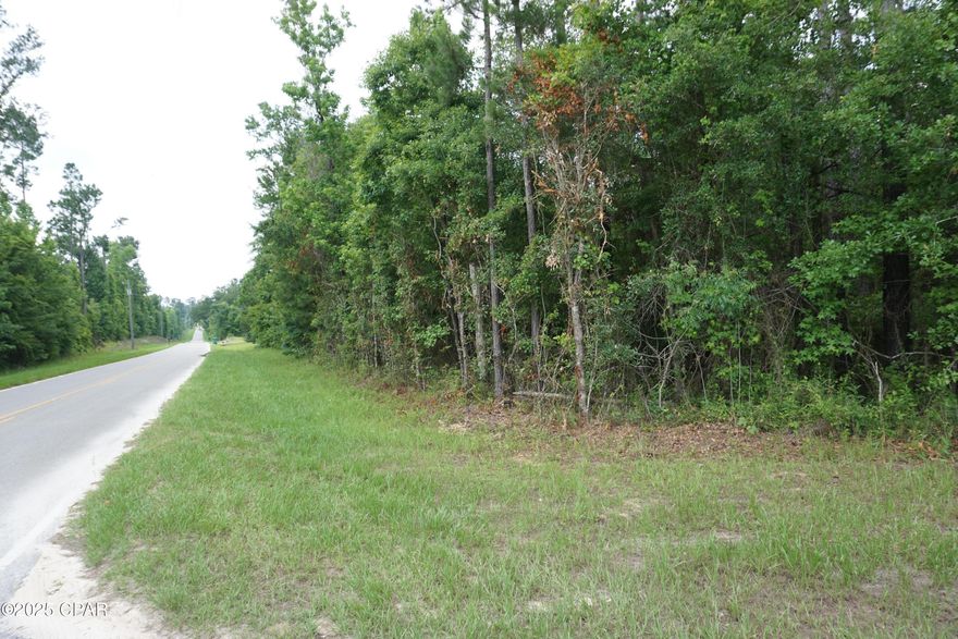 Discover the perfect canvas for your dream home with this spacious 4.7-acre corner lot nestled in a peaceful residential area. Embrace the charm of country living while staying just minutes from the Apalachicola River and Lake Seminole — ideal for fishing, boating, and enjoying the great outdoors.

This vacant land offers endless possibilities: build a custom home, establish a private retreat, or simply invest in a slice of nature. With plenty of room for a garden, workshop, or even animals, this property provides the space and freedom you've been looking for.

Don't miss out on this opportunity to create your personal escape in a beautiful rural location!