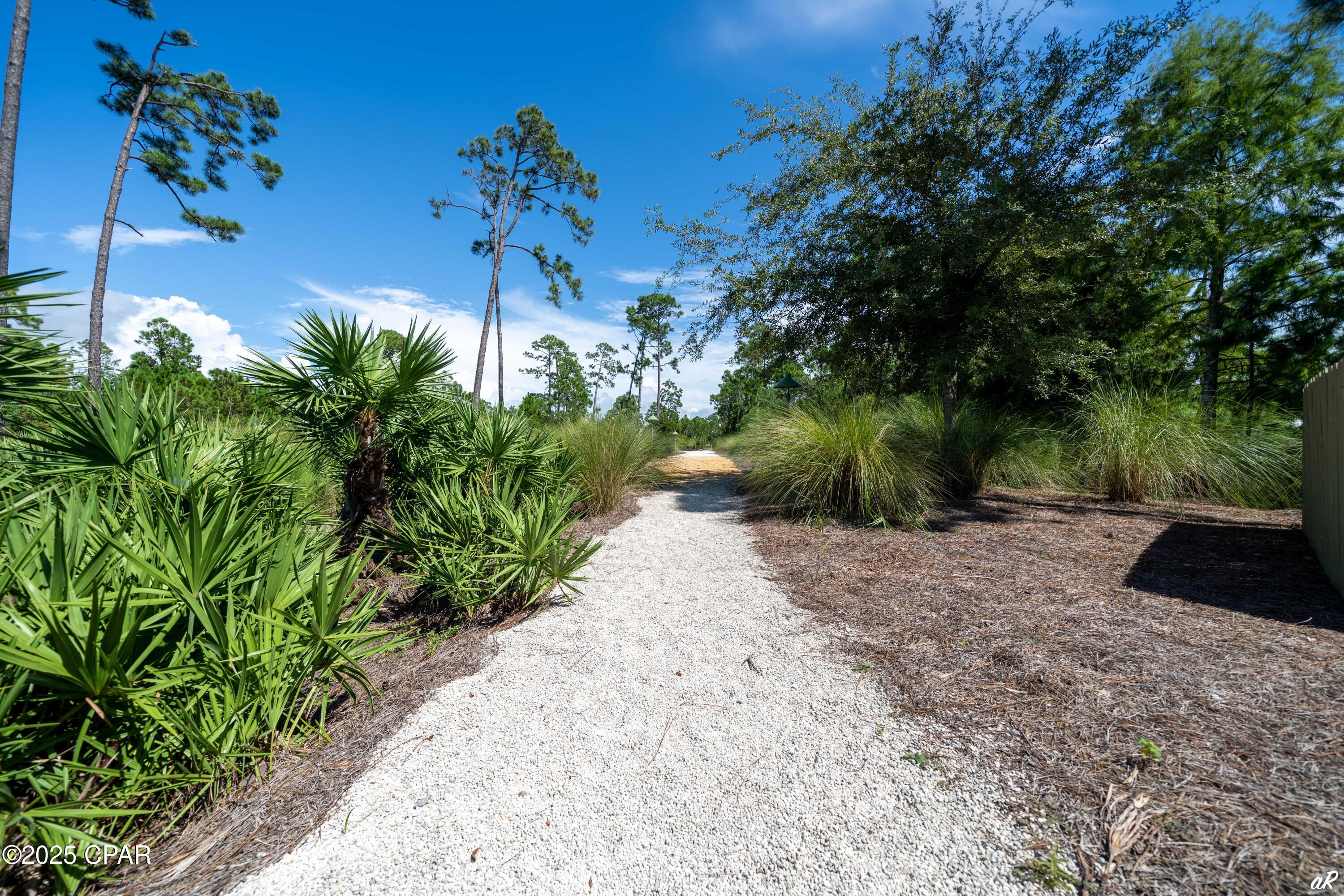 Martinique Phase I - Residential