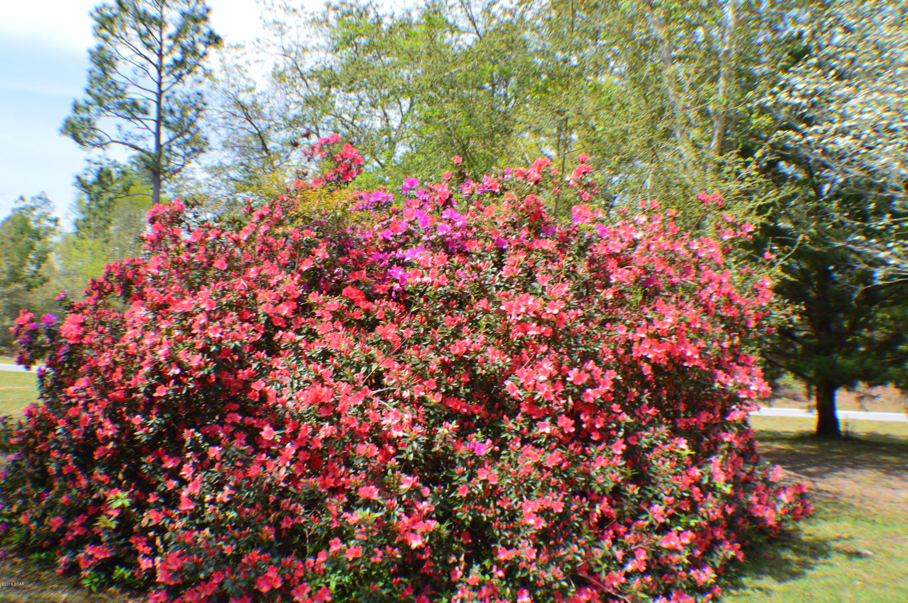 Sunny Hills - Residential