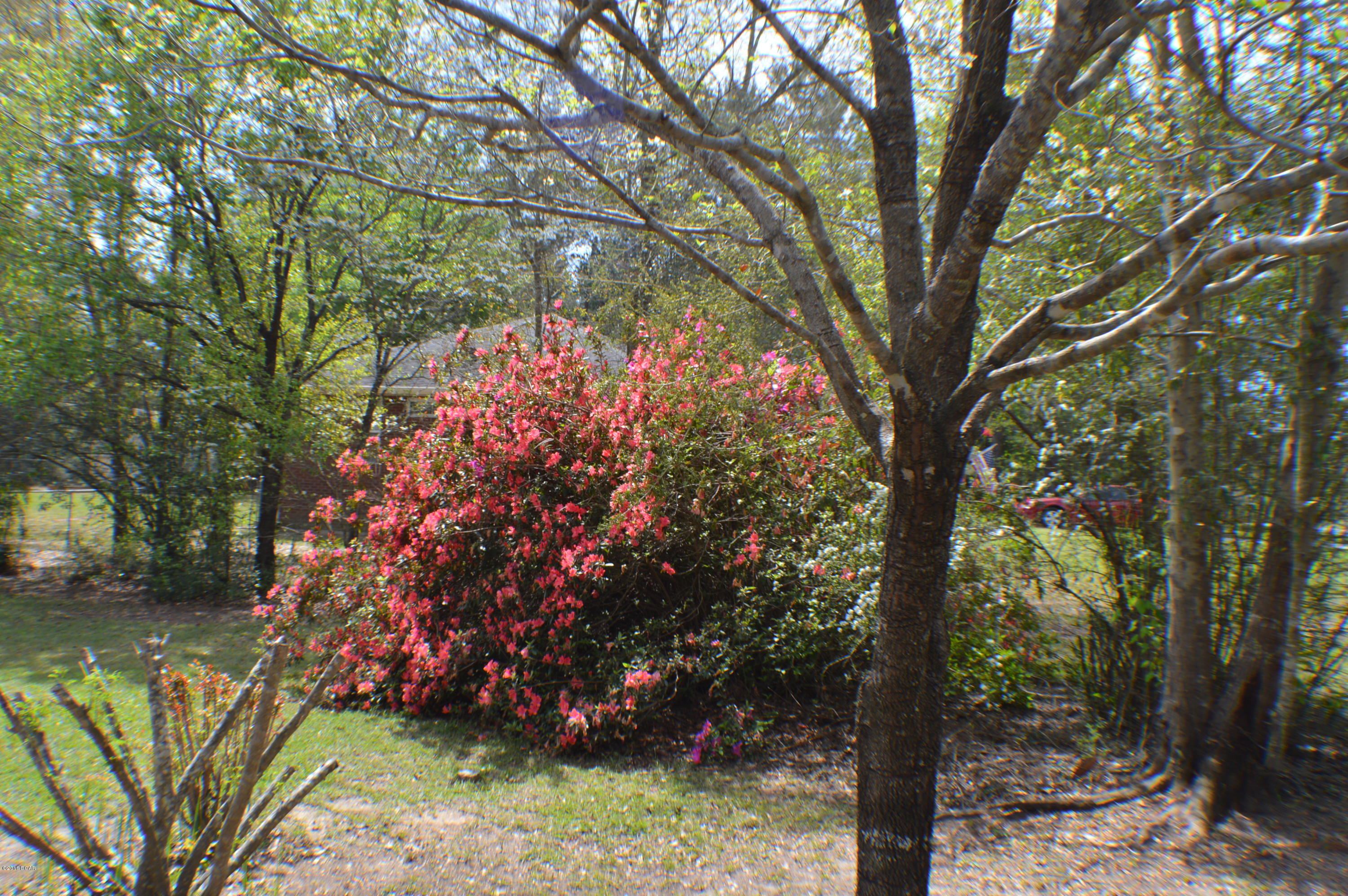 Sunny Hills - Residential