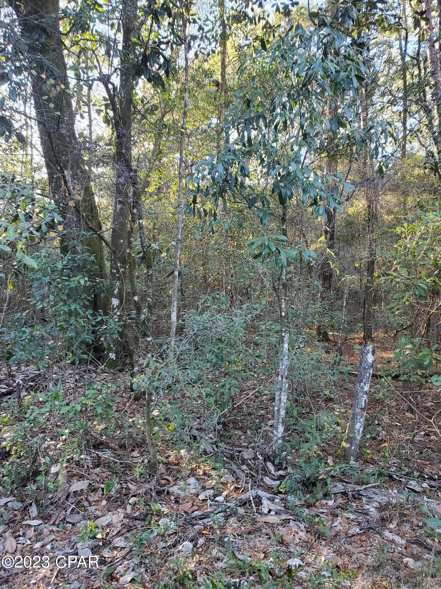 [No Recorded Subdiv] - Land