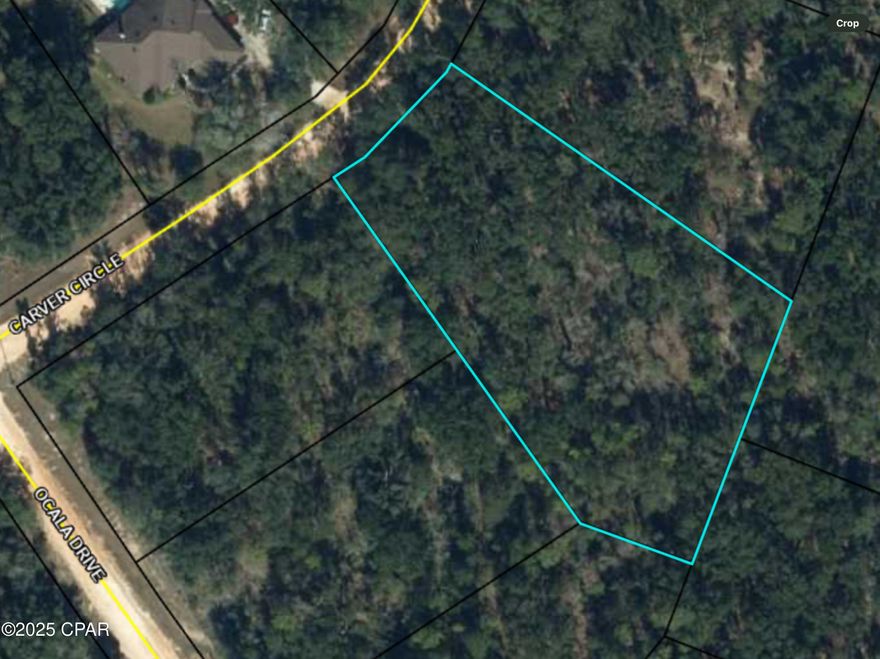 Beautiful wooded Compass Lake in the Hills building lot.  HOA is voluntary but gives you access to  amenities if you do choose to pay for it which includes access to 2 gorgeous lakes, cabin rentals, pavilion use, swimming pool, golf, boat launch ramp & some RV facilities.  Short drive from Panama City Beach, Tyndall Air Force Base, & Panama International Airport in one direction with Marianna, Fl. & Dothan, Alabama in the other direction. If you enjoy peace, quiet, & seclusion, this is the opportunity for you to build your home & watch the wildlife, swim, & fish