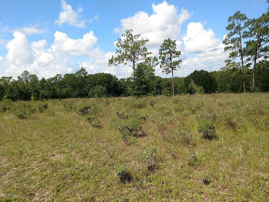 Great chance to own a unique property!  This 5 acre parcel is located in Sunny Hills area, but is not part of the community.  The possibilities are endless with this parcel.  Located just 45 mins from Panama City.  The Sunny Hills area features beautiful lakes, as well as a golf course.
