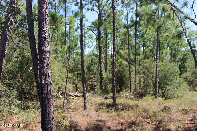 Compass Lake Hills Unit 6 - Land