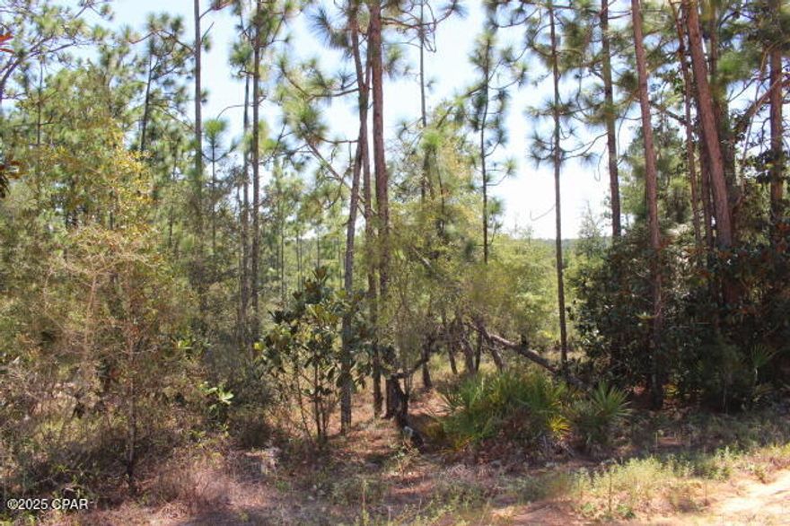 Welcome to Compass Lake in the Hills!
This 1.2± acre wooded homesite offers stunning views of the natural ridges that define one of Florida's few elevated terrains—reaching up to 300 feet above sea level. It's a rare opportunity to enjoy a 'mountain living' feel right in Florida!  Still fully wooded, the property allows you the flexibility to clear your ideal homesite while preserving your privacy and capturing the best possible view of the ridge. Tucked away in a quieter, less populated section of the subdivision, it's perfect for those seeking peaceful surroundings away from the hustle and bustle.  Electric power is available at the road for easy connection. Conveniently located just a short drive to Hwy 231: Southbound takes you to Panama City, the Gulf beaches, and the Northwest Florida Beaches International Airport.  Northbound leads to I-10, with easy access to Tallahassee, Pensacola, and a direct route to Dothan, Alabama.
Outdoor enthusiasts will love being just minutes from Compass Lake, which offers a public boat ramp for quick access to fishing, boating, and water sports. Nearby attractions also include the Chipola River and Merritt's Mill Pond, known for their clear, spring-fed waters—perfect for kayaking, diving, and nature exploration.
Marianna is nearby with shopping at Lowe's and Walmart, local dining, Jackson Hospital, and Chipola College.  Join the non mandatory CLH's POA and have access to all the amenities including McCormick Lake that only members have access to the no gas engine lake for fishing and swimming.  Whether you're looking to build now or invest for the future, this property allows for site-built homes or new manufactured homes. Owner financing available.