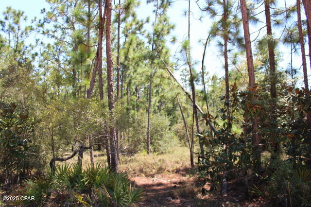 Compass Lake Hills Unit 6 - Land