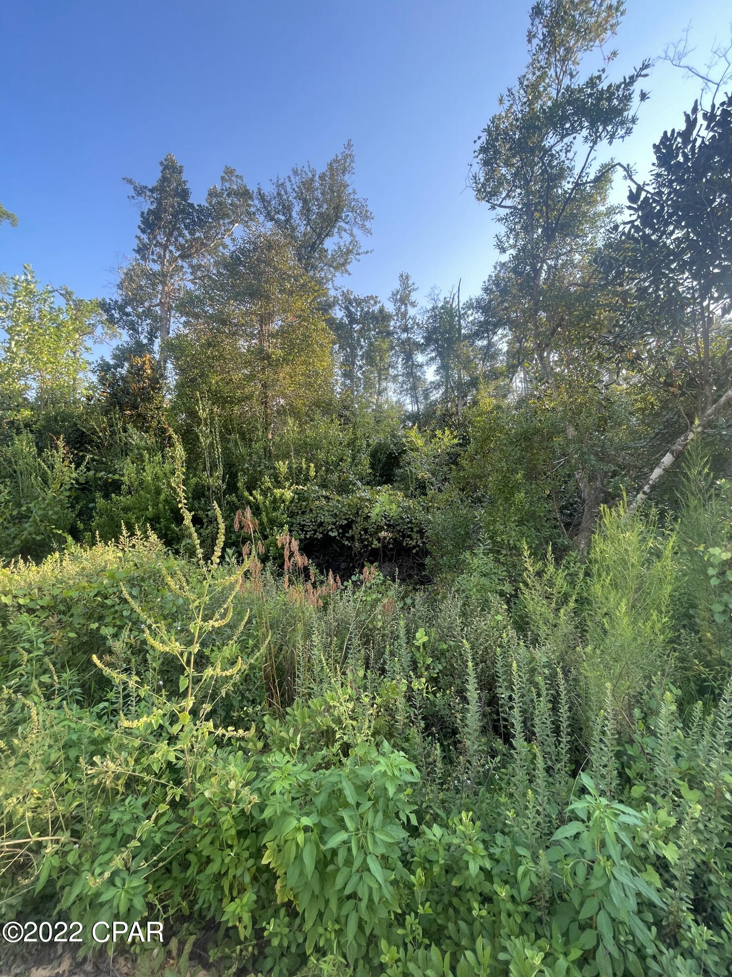 Compass Lake Hills Unit 6 - Land