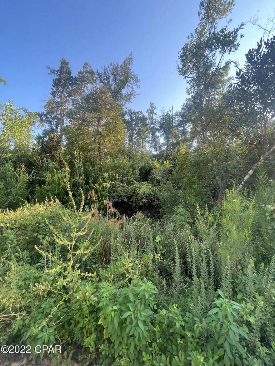 Nice wooded lot in Compass Lake in the Hills.  Mobile homes are allowed.  1/3 mile off of paved Pike Pond Rd.  You will have all the amenities of the subdivision, enjoy beautiful Compass Lake, 45 minutes to Panama City and just 15 minutes to I-10.  Seller will entertain reasonable offers!