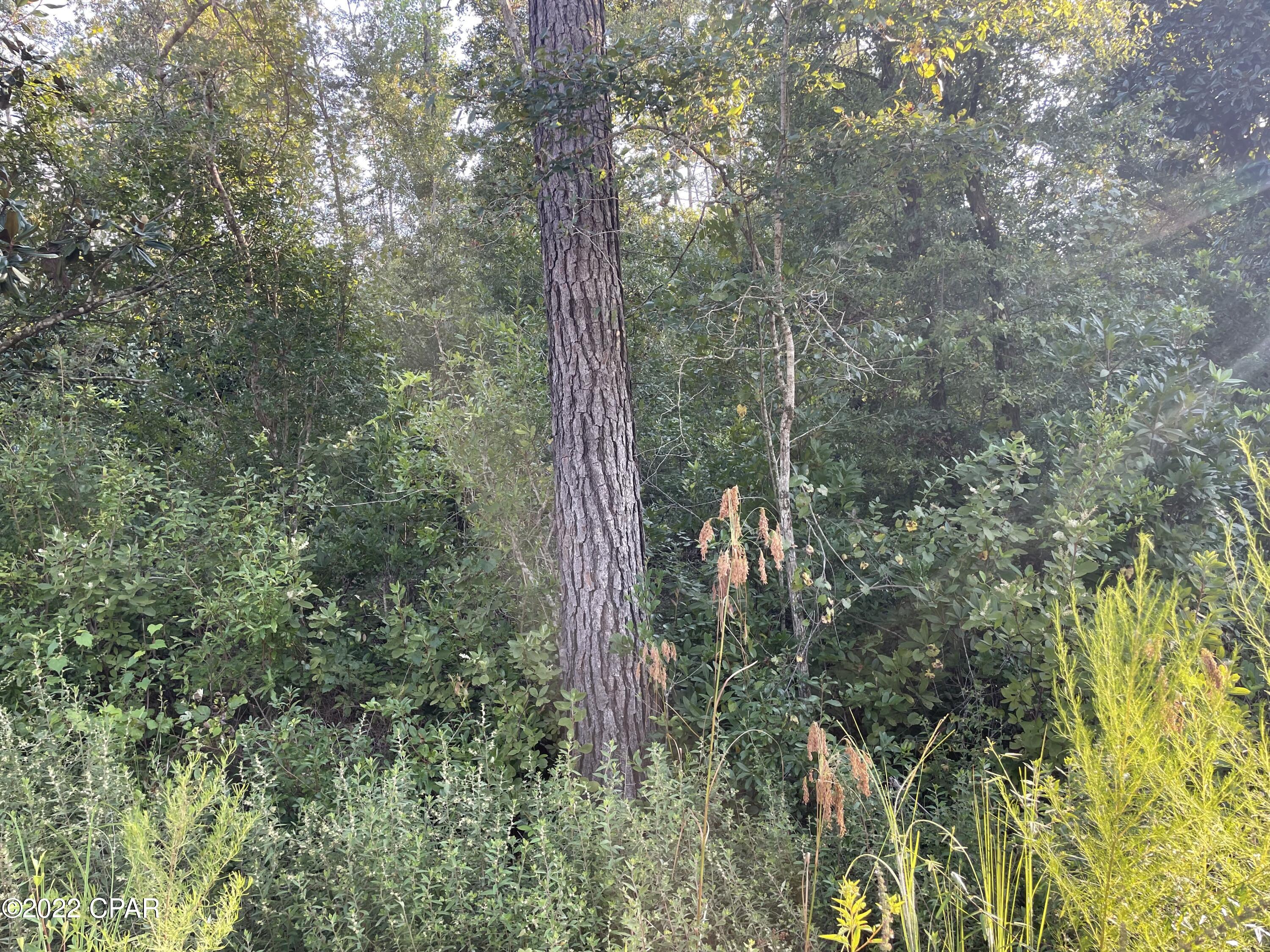 Compass Lake Hills Unit 6 - Land