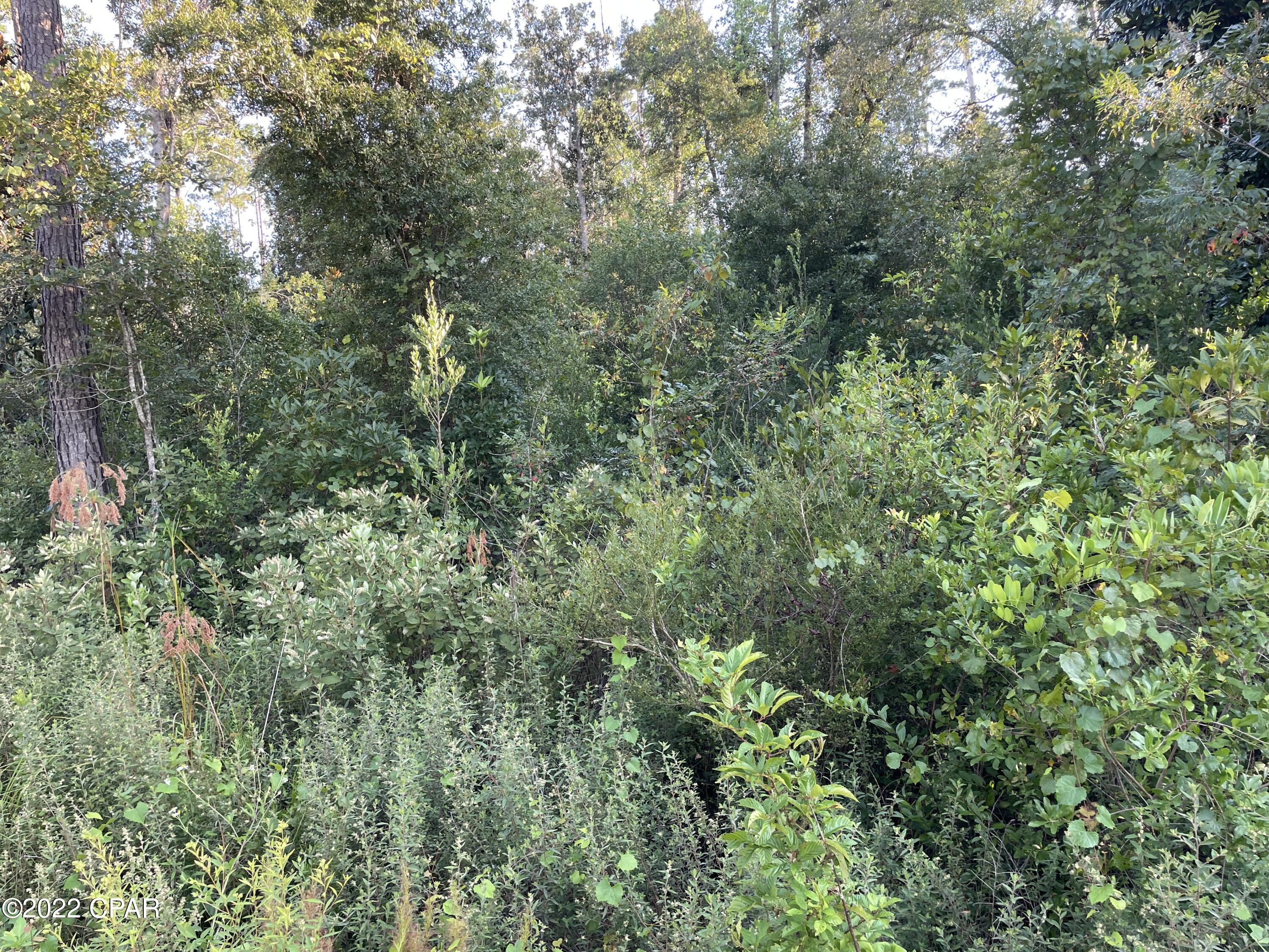 Compass Lake Hills Unit 6 - Land