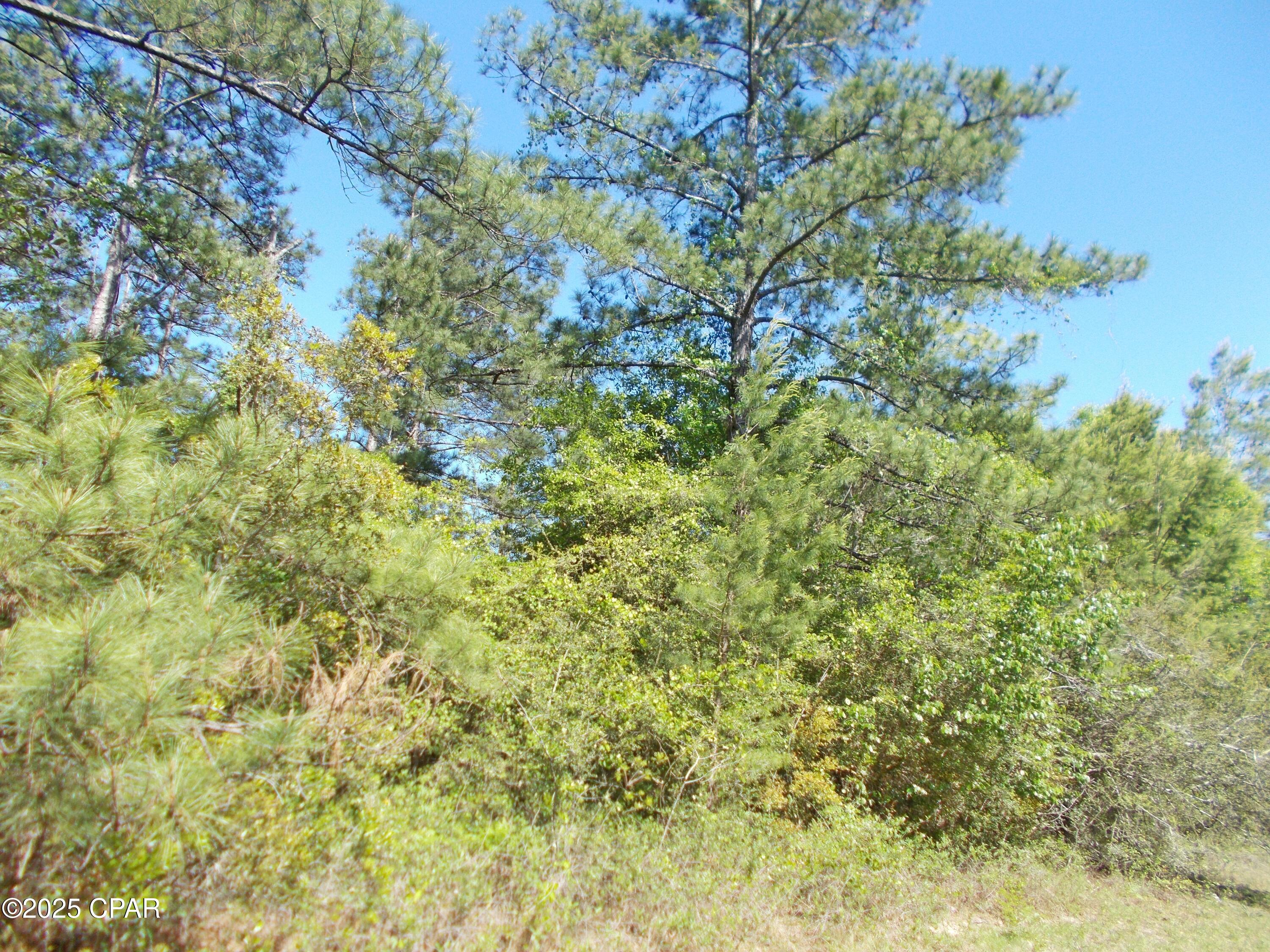 Sunny Hills Unit 7 - Land