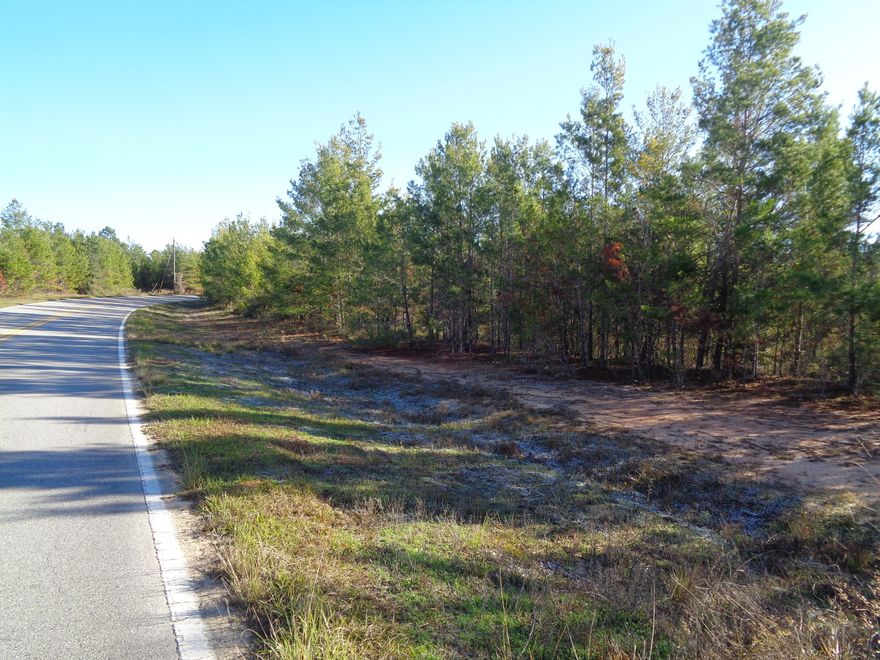 Features of this wooded parcel offer many possibilities. Parcel does have a slope to the pond in the back that borders with the Methodist Church. Excellent hunting in this area. Neighborhood commercial certainly a possibility as well. Plenty of road frontage  on Holmes Valley, some on Moss Hill Rd and Twin Pond Rd. Seller does have survey.