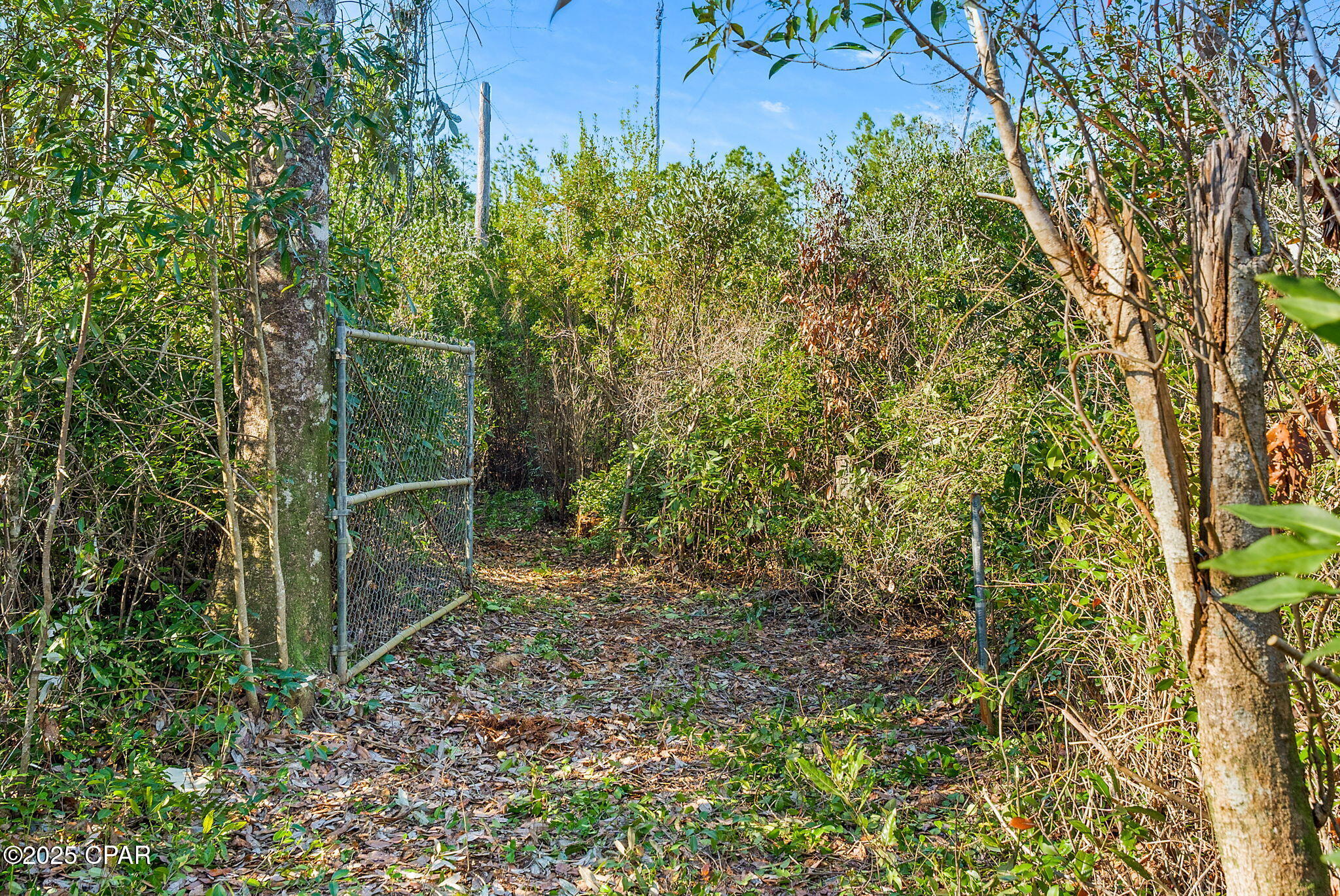 No Named Subdivision - Land