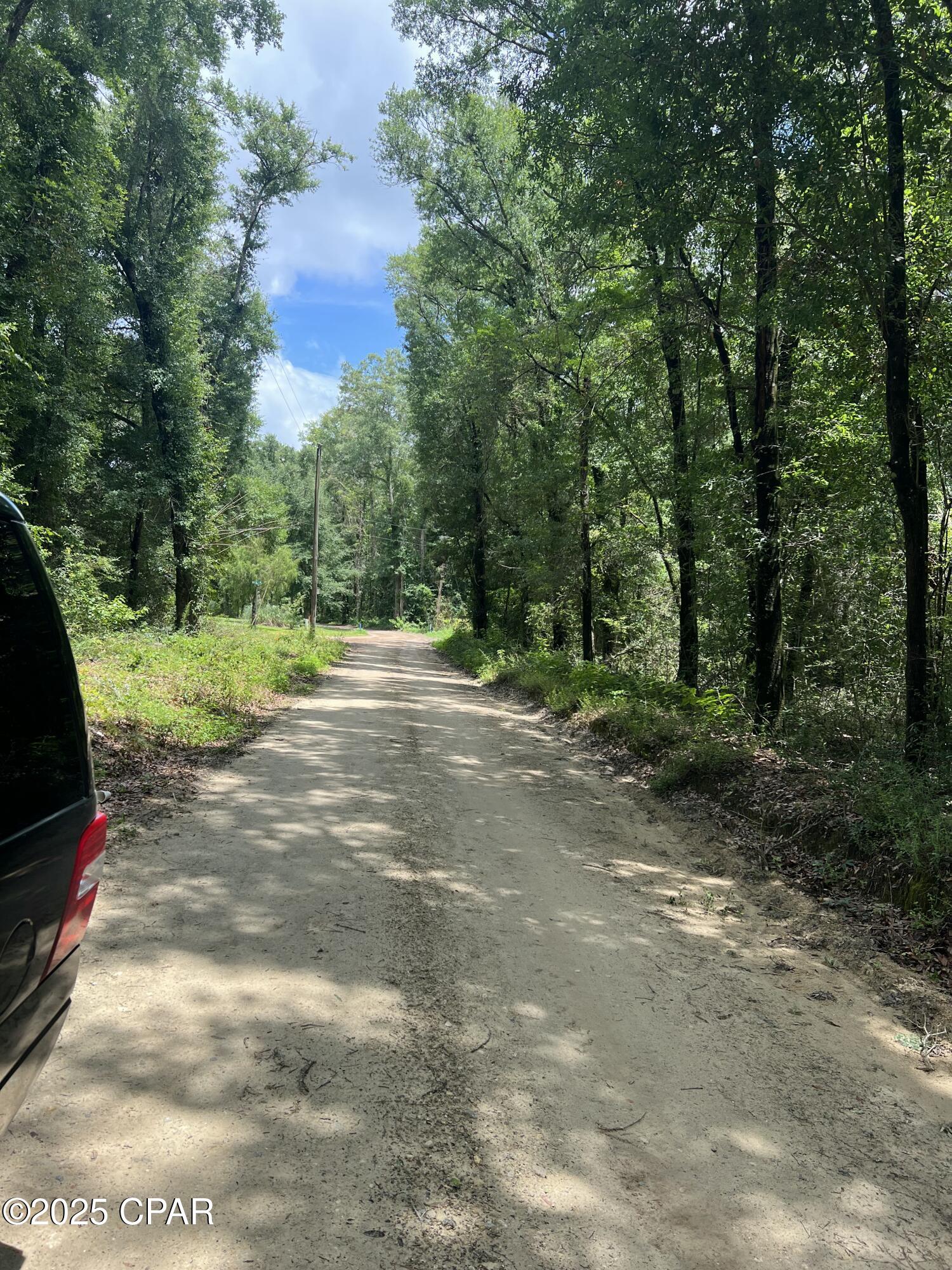 Dogwood Lakes - Land