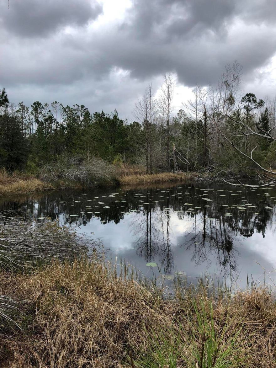 Great location for anyone looking to enjoy the outdoors with close access for I10 and Chipley.  Perfect to build or hunt with ponds.  There is also a block building on the property.